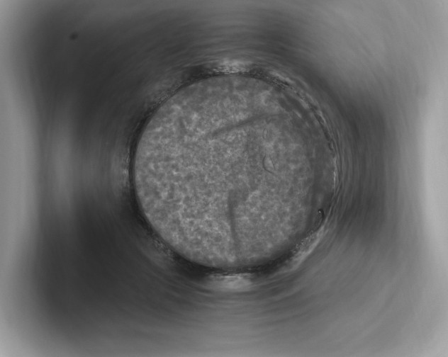 X0000100940553200807221159