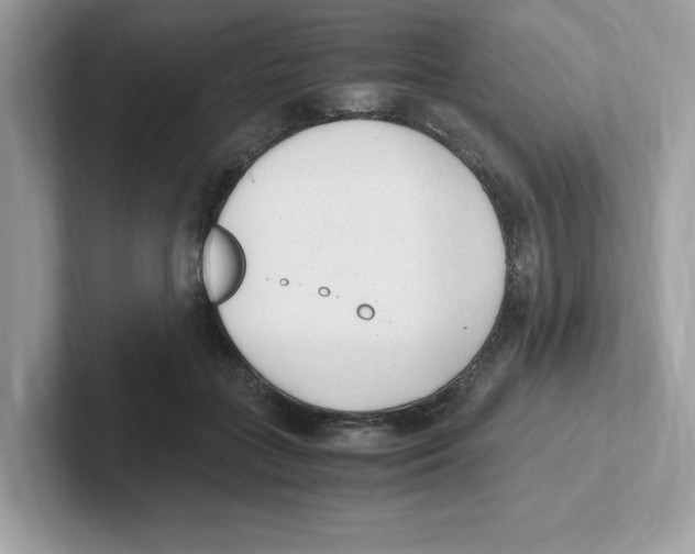 X0000100940555200807221159