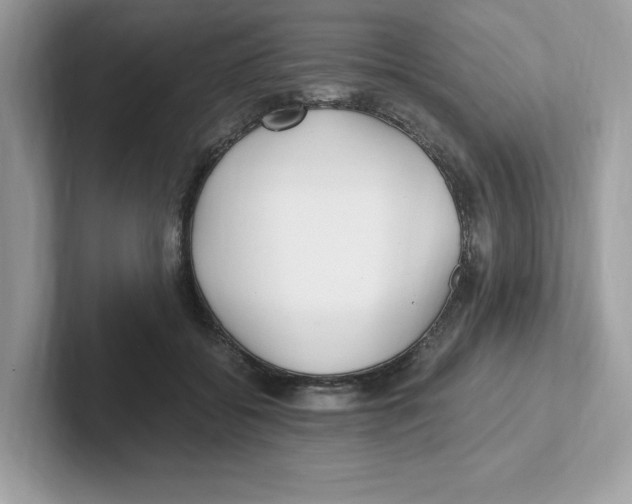 X0000100940556200807221159