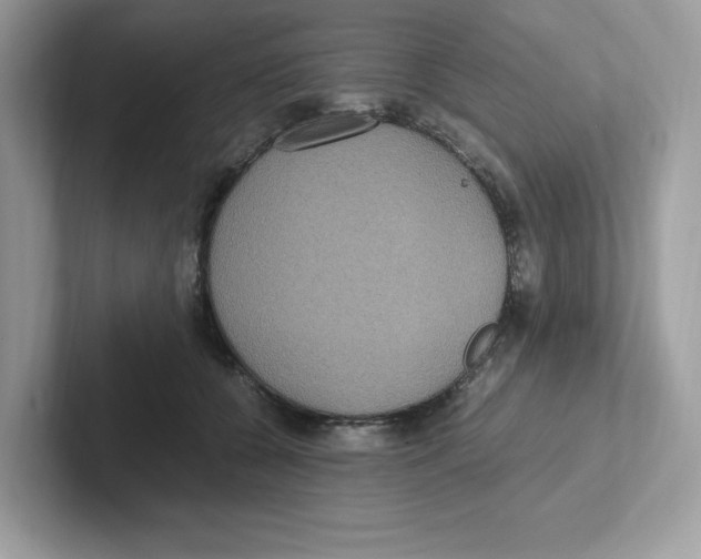 X0000100940560200807221159