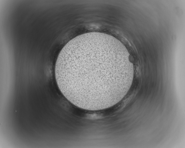 X0000100940561200807221159