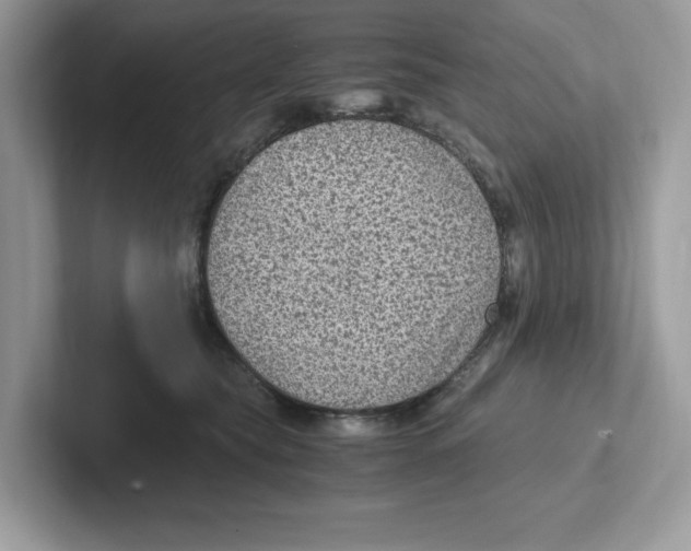 X0000100940565200807221200