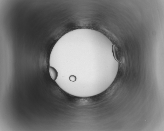 X0000100940566200807221200