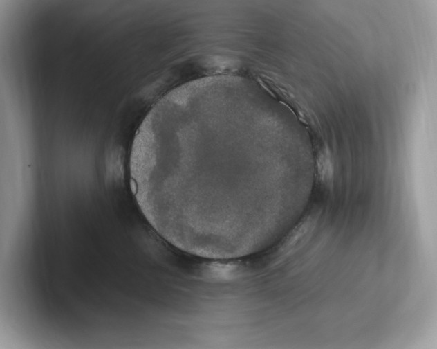 X0000100940570200807221200