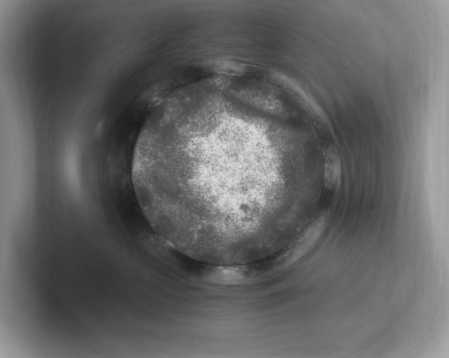 X0000100940573200807221200