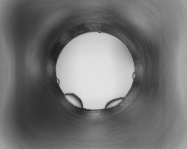 X0000100940574200807221200