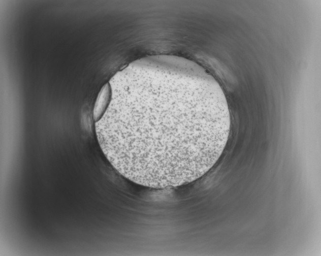 X0000100940576200807221200