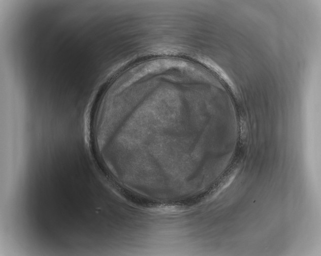 X0000100940581200807221159