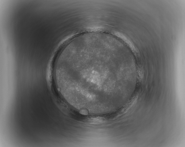 X0000100940583200807221159