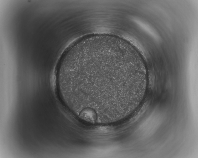 X0000100940584200807221159