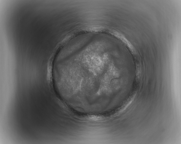 X0000100940585200807221159