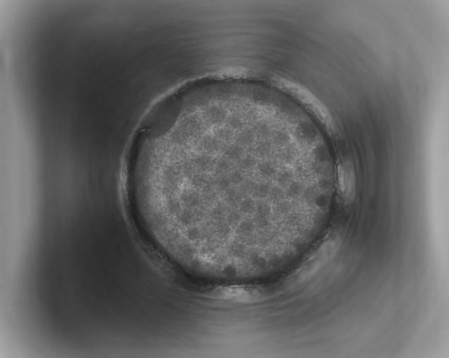 X0000100940588200807221159