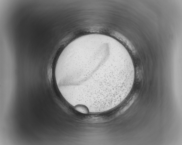 X0000100940589200807221159