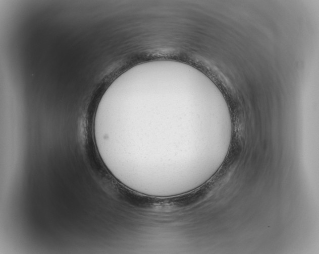 X0000100940591200807221159