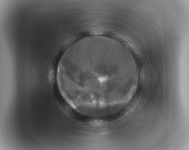 X0000100940598200807221159