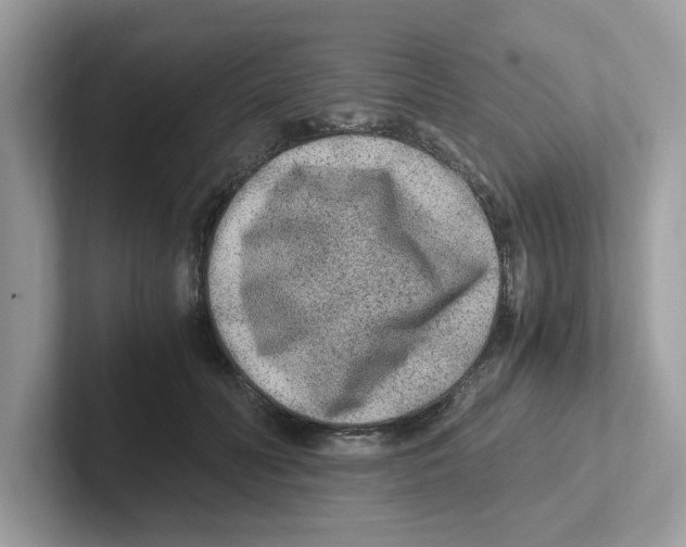 X0000100940606200807221159