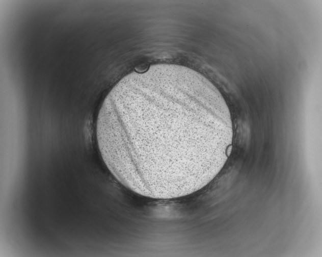 X0000100940612200807221159