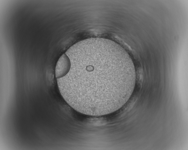 X0000100940615200807221159