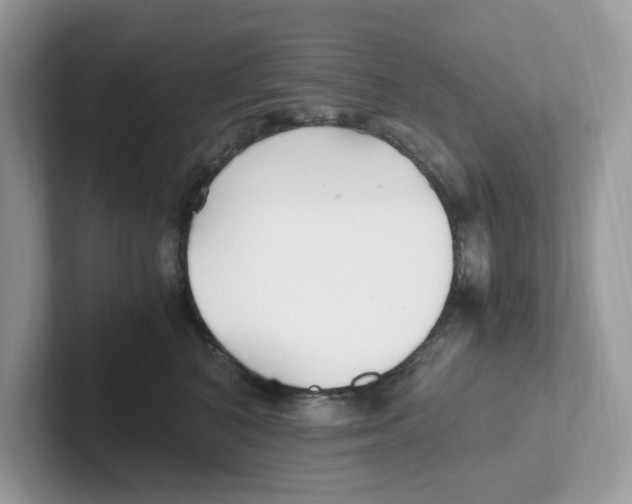 X0000100940616200807221159