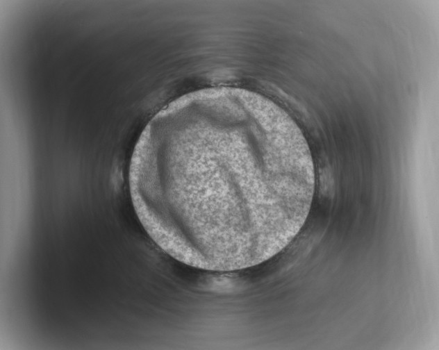 X0000100940618200807221159