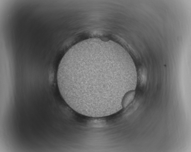 X0000100940619200807221159