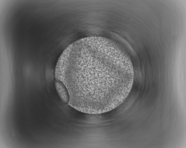 X0000100940621200807221158