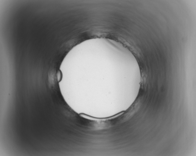 X0000100940623200807221158