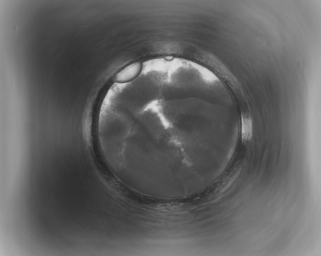 X0000100940627200807221158