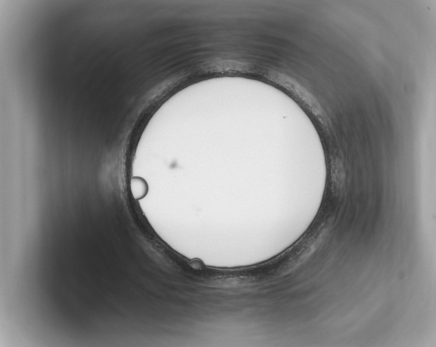 X0000100940629200807221158