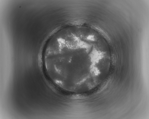 X0000100940634200807221158