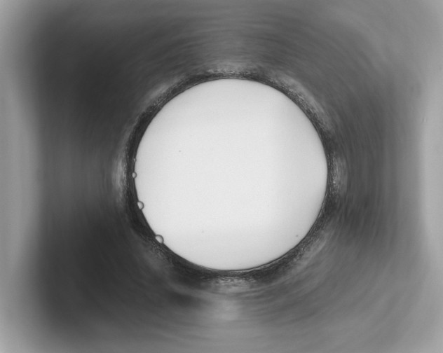 X0000100940636200807221158