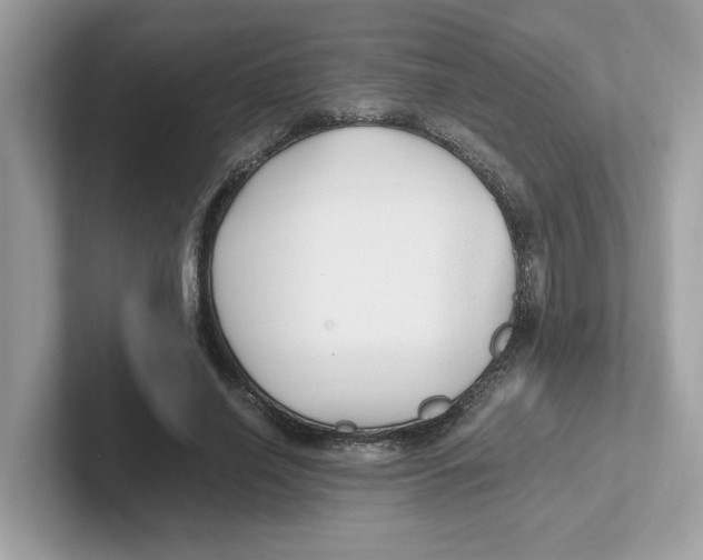 X0000100940638200807221158