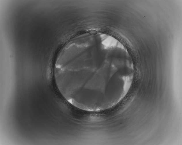 X0000100940641200807221158