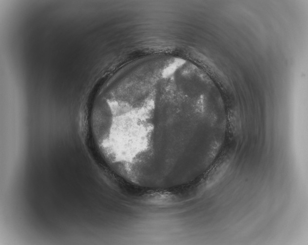 X0000100940642200807221158