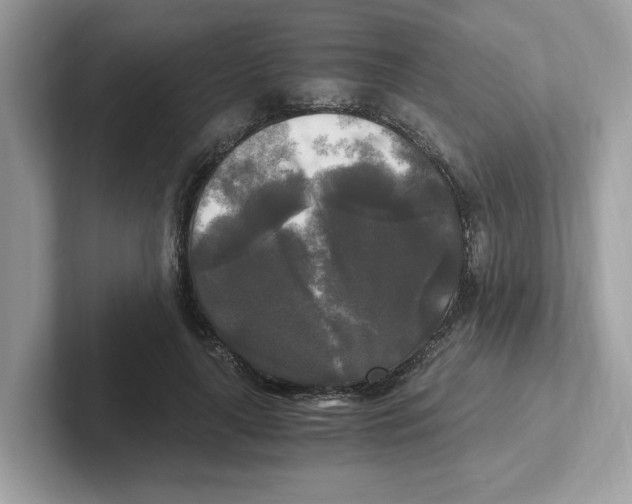 X0000100940643200807221158