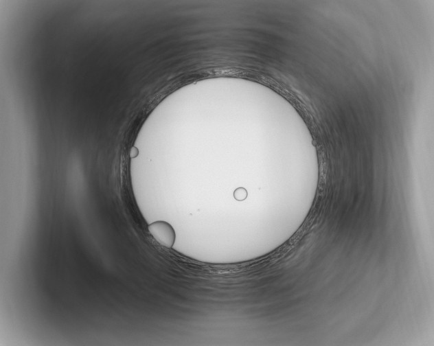 X0000100940645200807221158