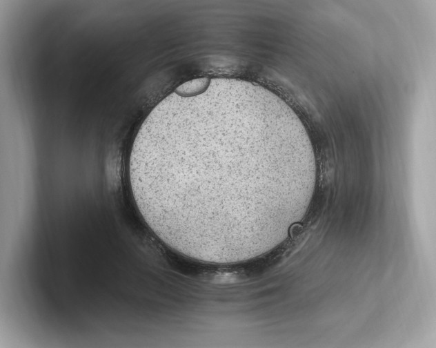 X0000100940647200807221158