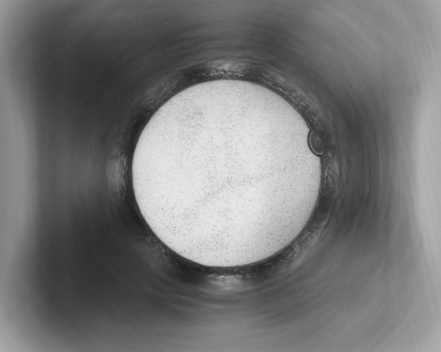 X0000100940649200807221158