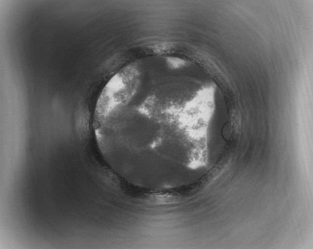 X0000100940650200807221158