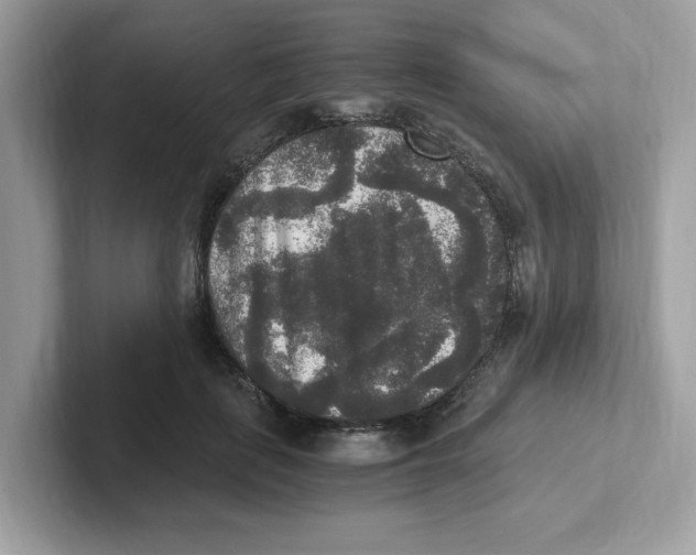 X0000100940651200807221158