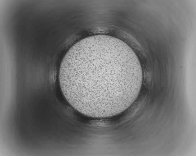 X0000100940652200807221158