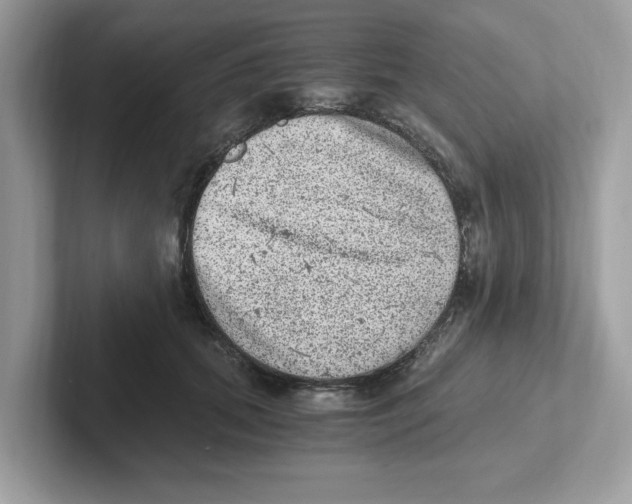 X0000100940655200807221158