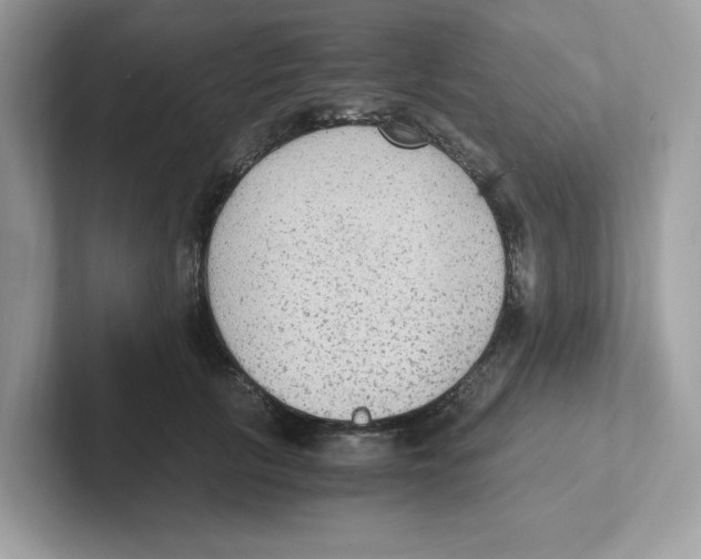 X0000100940657200807221158