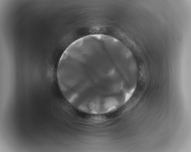 X0000100940659200807221158