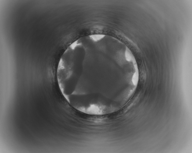 X0000100940661200807221158