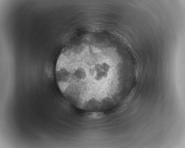 X0000100940663200807221158