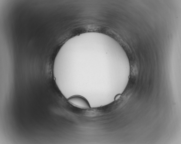 X0000100940666200807221158