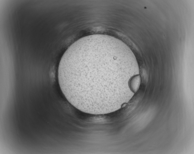 X0000100940668200807221158