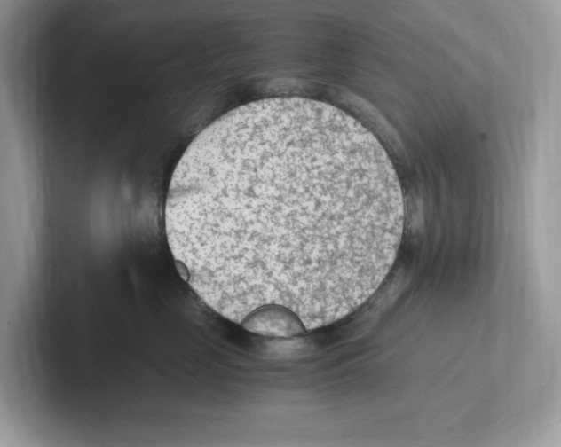 X0000100940669200807221158