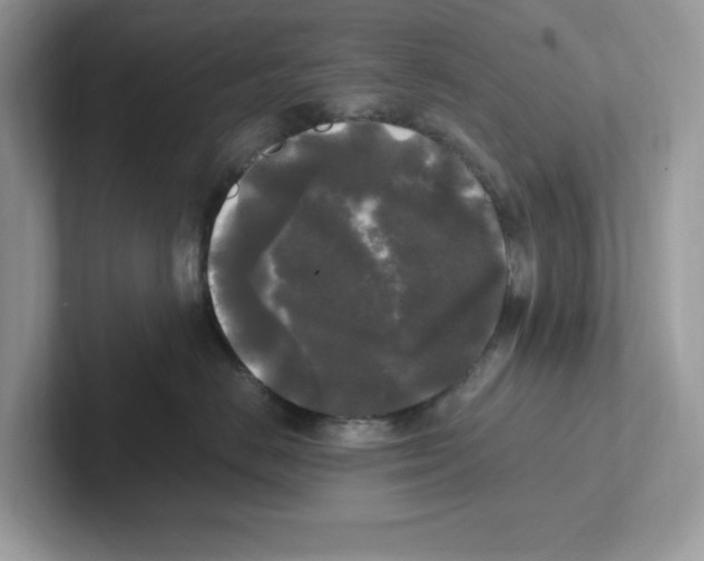 X0000100940670200807221158